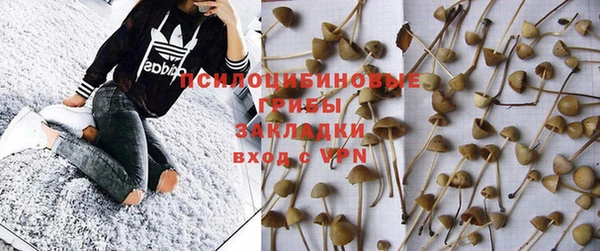 прущие крисы Абдулино