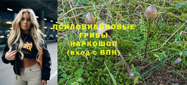 стафф Михайловка