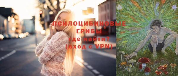 гашик Абаза