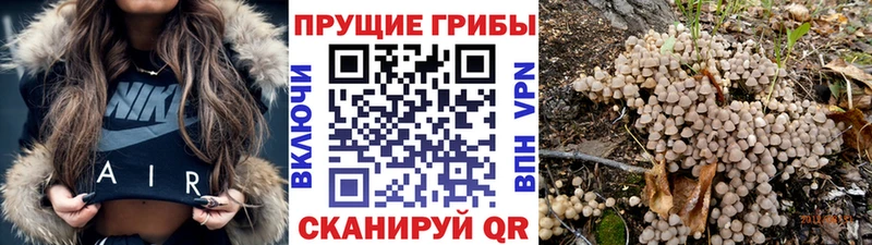Псилоцибиновые грибы ЛСД  кракен маркетплейс  Оренбург 
